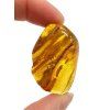 Amber 9g – Lithuania