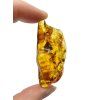 Jantar 7,8g – Litva