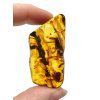 Amber 10g – Lithuania