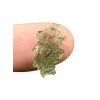Moldavite – Maly Chlum – 0,34g