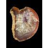 Agate – Rasovka (Prosec pod Jestedem), CZ