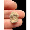 Mondmeteorit Bechar 007 – 0,8g – Algerien