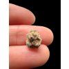 Mondmeteorit Bechar 007 – 0,6g – Algerien