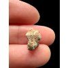 Lunar meteorite Bechar 007 – 0,6g – Algeria