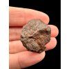 Meteorit NWA X – 8,7g – Nordwestafrika