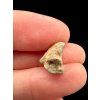 Lunar meteorite Bechar 007 – 0,9g – Algeria