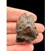 Meteorit NWA X – 11,8g – Nordwestafrika