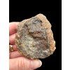 Meteorit NWA X – 92,6g – Nordwestafrika