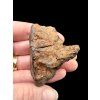 Meteorite NWA X – 74,6g – Northwest Africa