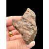 Meteorite NWA X – 74,6g – Northwest Africa