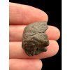 Meteorite NWA X – 8,3g – Northwest Africa