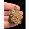 Meteorite NWA X – 16,8g – Northwest Africa