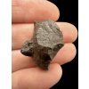 Meteorite NWA X – 7g – Northwest Africa
