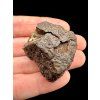 Meteorit NWA X – 32,6g – Nordwestafrika