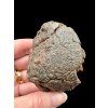 Meteorite NWA X – 145,5g – Northwest Africa