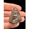 Meteorite NWA X – 15,2g – Northwest Africa