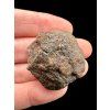 Meteorite NWA X – 19,9g – Northwest Africa