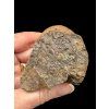 Meteorit NWA X – 168,5g – Nordwestafrika