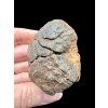 Meteorite NWA X – 168,5g – Northwest Africa