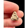 Mondmeteorit Bechar 007 – 0,9g – Algerien