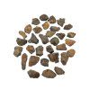 Meteorit NWA X (5-10g) – zufälliges Stück