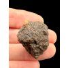 Meteorit NWA X (5-10g) – zufälliges Stück