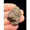 Meteorit NWA X (5-10g) – zufälliges Stück