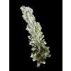 Moldavite – Besednice Jezkovna – 1,9g / Angel Chime