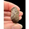Meteorit NWA X – 10,8g – Severozápadní Afrika