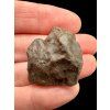 Meteorite NWA X – 9,5g – Northwest Africa