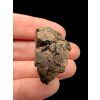 Meteorite NWA X – 17,4g – Northwest Africa