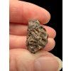 Meteorite NWA X – 7,2g – Northwest Africa