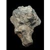 Trilobit Onnia Superba – Pankrác, Metro D, ČR