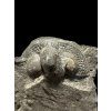 Trilobit Onnia Superba – Pankrac, Metro D, CZ