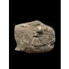 Trilobite Onnia Superba – Pankrac, Metro D, CZ