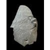 Trilobite Onnia Superba – Pankrac, Metro D, CZ