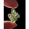Gold moldavite pendant 3,2g from Besednice Jezkovna