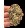 Trilobit – Hoher Atlas, Marokko