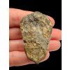 Trilobit – Hoher Atlas, Marokko
