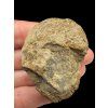 Trilobit – Hoher Atlas, Marokko