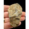 Trilobit – Velký Atlas, Maroko