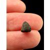 Meteorite Chelyabinsk 0,2g – Russia