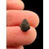 Meteorite Chelyabinsk 0,2g – Russia