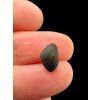 Meteorit Tscheljabinsk 0,2g – Russland