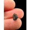 Meteorit Čeljabinsk 0,1g – Rusko