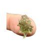 Moldavite – Maly Chlum – 0,35g