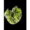 Moldavite – Chlum – 3,5g