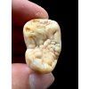 Fossil Cave Bear Tooth (Ursus spelaeus) 3,2cm – Slovakia
