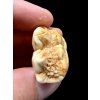 Fossil Cave Bear Tooth (Ursus spelaeus) 3,1cm – Slovakia