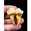 Fossil Cave Bear Tooth (Ursus spelaeus) 3,1cm – Slovakia